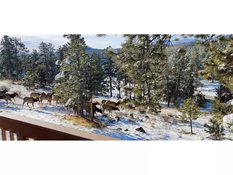 62 Old Corral Rd, Bailey, CO 80421 photo 28