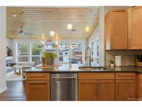 1166 S Saint Paul St, Denver, CO 80210