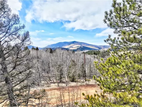 60 Antelope View Ln, Lake George, CO 80827