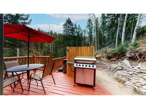 604 Castlewood Dr, Evergreen, CO 80439 photo 27