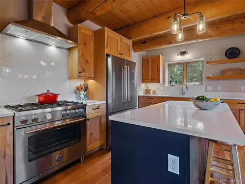 96 Six Bits St, Bailey, CO 80421 photo 14