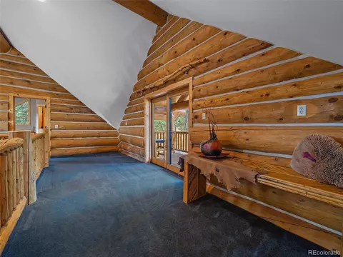 96 Six Bits St, Bailey, CO 80421 photo 25