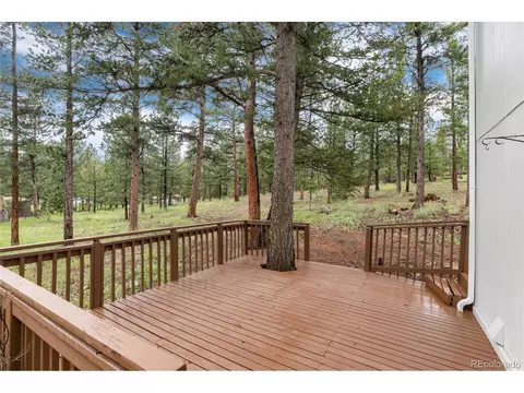 6798 Overland Rd, Ward, CO 80481 photo 30