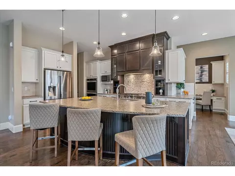 10604 Montecito Dr, Lone Tree, CO 80124 photo 10