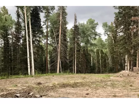 Undisclosed, Cimarron, CO 81220 photo 9