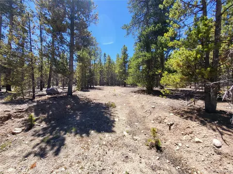 436 Lodgepole Dr, Leadville, CO 80461