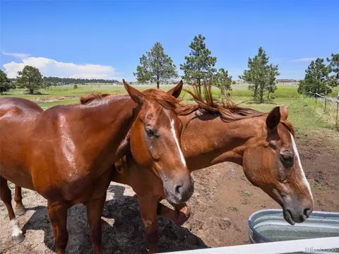 13550 Murphy Rd, Elbert, CO 80106 photo 8