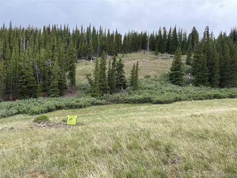 0 Forest Road 450, Alma, CO 80420