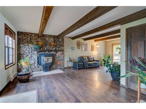 153 Aspen Dr, Bailey, CO 80421 photo 4