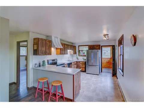 153 Aspen Dr, Bailey, CO 80421 photo 10