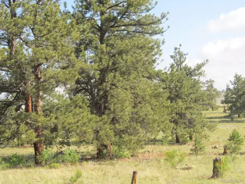 5127 Arikara Trl, Hartsel, CO 80449