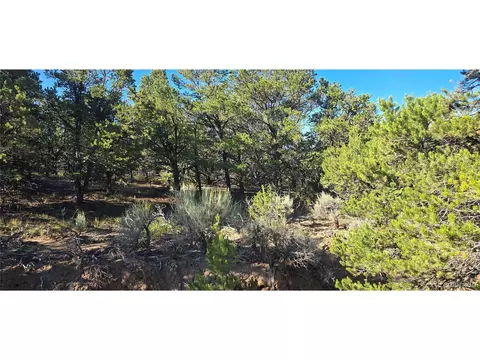 1362 Dunn Rd, Fort Garland, CO 81133