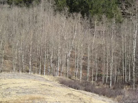 930 Ouray Trl, Como, CO 80432 photo 14