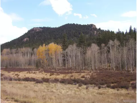 930 Ouray Trl, Como, CO 80432 photo 10