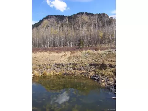 930 Ouray Trl, Como, CO 80432 photo 3
