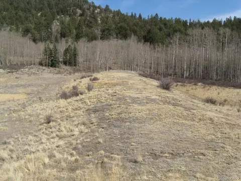 930 Ouray Trl, Como, CO 80432 photo 6