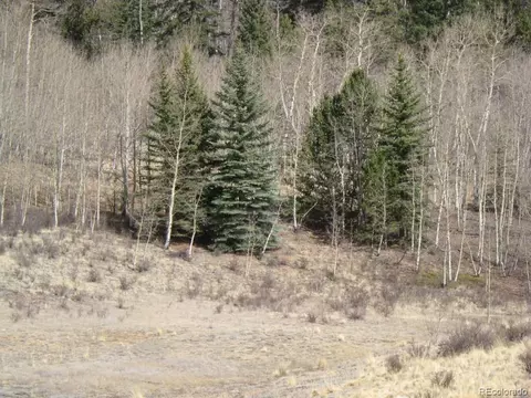 930 Ouray Trl, Como, CO 80432 photo 4