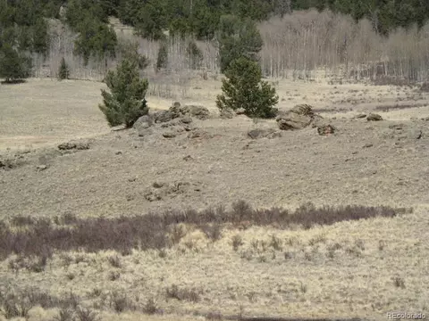 930 Ouray Trl, Como, CO 80432 photo 9