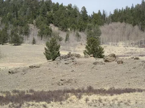 930 Ouray Trl, Como, CO 80432 photo 5