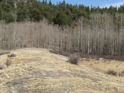 930 Ouray Trl, Como, CO 80432 photo 20