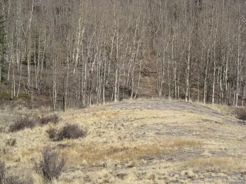 930 Ouray Trl, Como, CO 80432 photo 19
