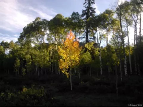 930 Ouray Trl, Como, CO 80432 photo 2