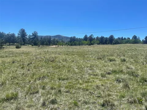 Undisclosed, Florissant, CO 80816