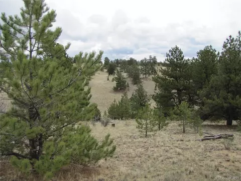 319 Superstition Trl, Hartsel, CO 80449