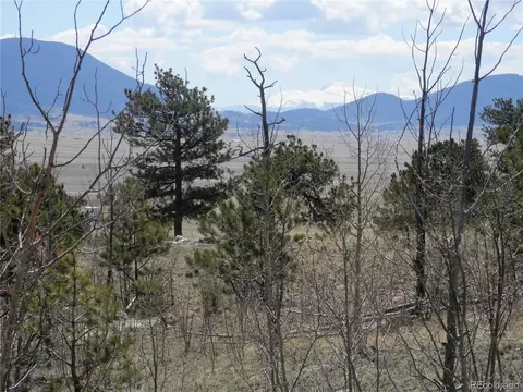 2699 Goldenburg Canyon Rd, Hartsel, CO 80449