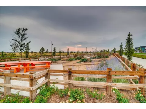 21538 E 59th Pl, Aurora, CO 80019 photo 17