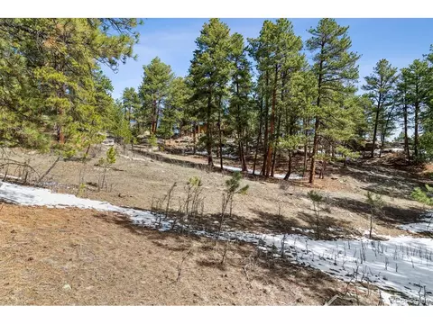 4280 Antelope Trl, Elbert, CO 80106 photo 30