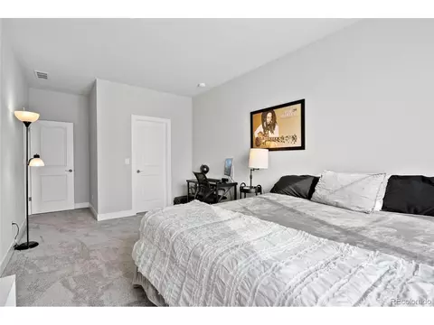 199 Simmental Loop, Castle Rock, CO 80104 photo 22
