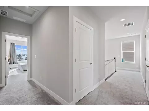 199 Simmental Loop, Castle Rock, CO 80104 photo 16