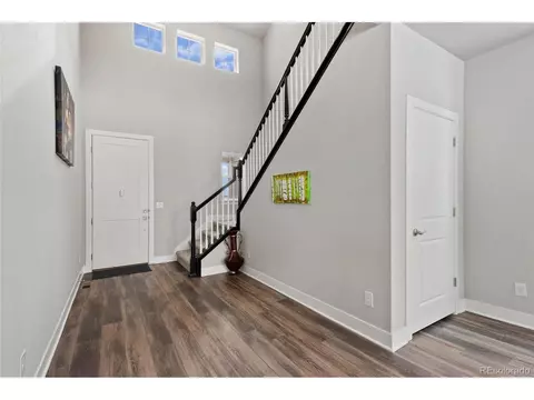 199 Simmental Loop, Castle Rock, CO 80104 photo 5