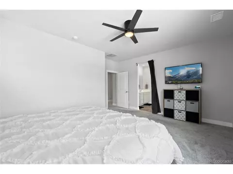 199 Simmental Loop, Castle Rock, CO 80104 photo 29