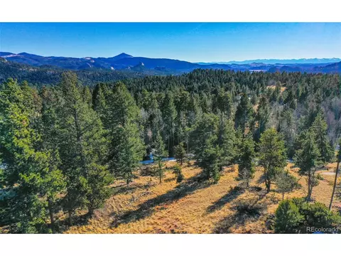 56 E Nevada Cir, Florissant, CO 80816