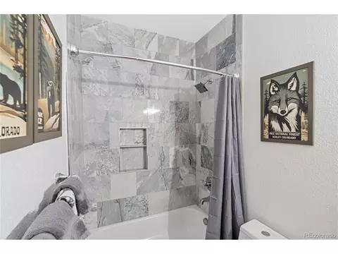 505 Road P69, Bailey, CO 80421 photo 29