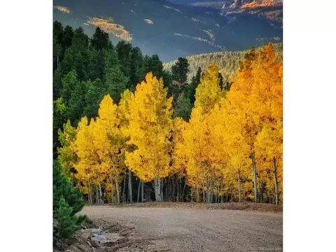 505 Road P69, Bailey, CO 80421 photo 36