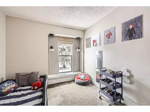 20917 E Dorado Cir, Centennial, CO 80015 photo 23