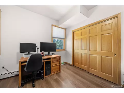 Other - 31371 Shadow Mountain Dr, Conifer, CO 80433 photo 5 of 11