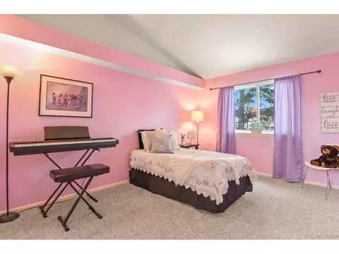 1104 E 130th Dr, Thornton, CO 80241 photo 19
