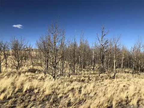 189 Hawk Way, Como, CO 80432 photo 9