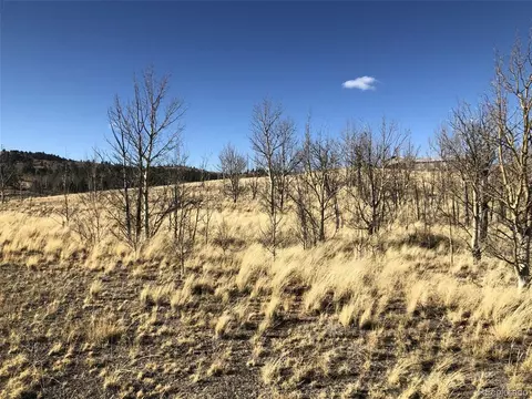 189 Hawk Way, Como, CO 80432 photo 3