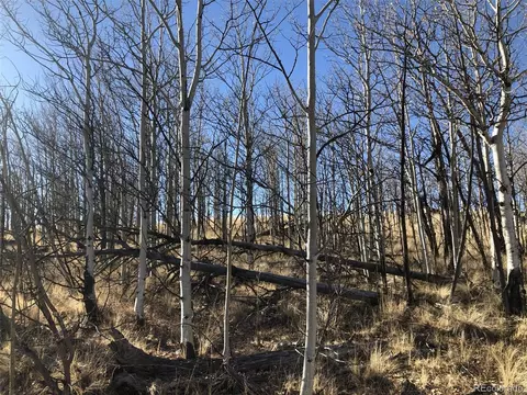 189 Hawk Way, Como, CO 80432 photo 16
