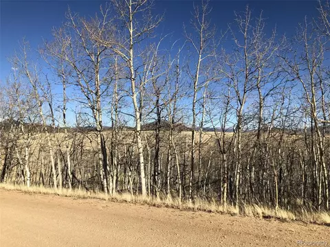 189 Hawk Way, Como, CO 80432 photo 12