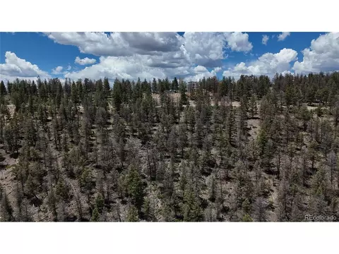 1396 Middle Fork Vis, Fairplay, CO 80440 photo 5