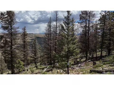 1396 Middle Fork Vis, Fairplay, CO 80440 photo 9