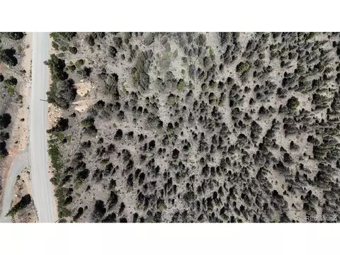 1396 Middle Fork Vis, Fairplay, CO 80440 photo 8