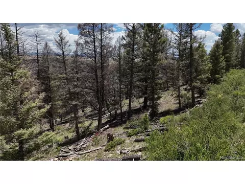 1396 Middle Fork Vis, Fairplay, CO 80440 photo 12