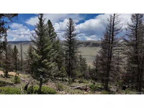 1396 Middle Fork Vis, Fairplay, CO 80440 photo 7